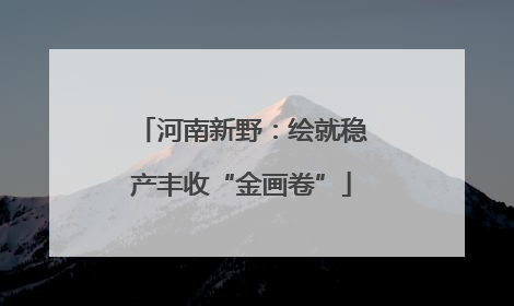 河南新野：绘就稳产丰收“金画卷”